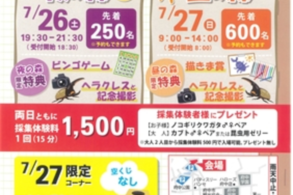 府中市の夏の人気イベント『カブト＆ノコギリクワガタ混合採集体験』がバスツアーになりました🚌の画像